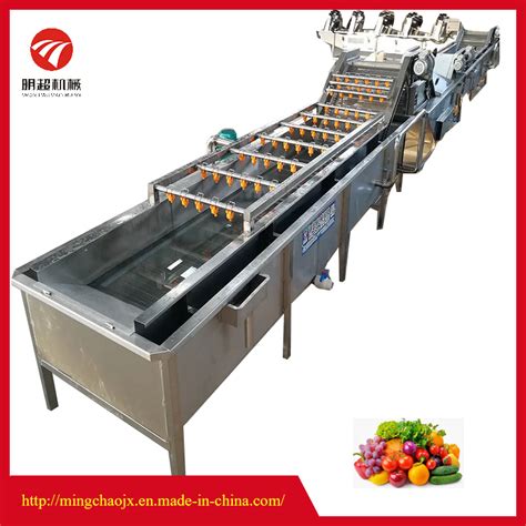 Industrial Air Bubble Ozone Fruit And Vegetable Root Washer Machine