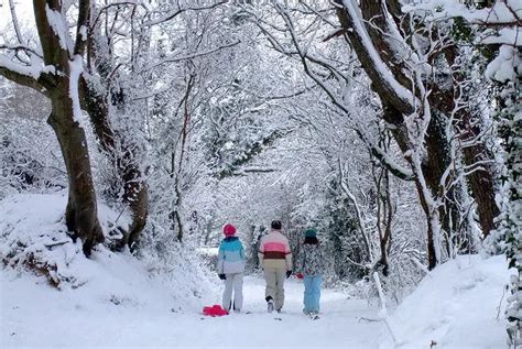 Met Office issue amber snow warning for the Isle of Wight