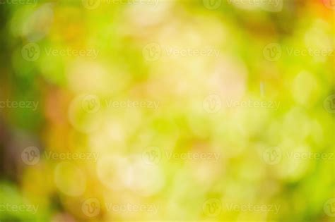 Defocus Light Background Natural Blurred Leaves On Trees Defocus Green