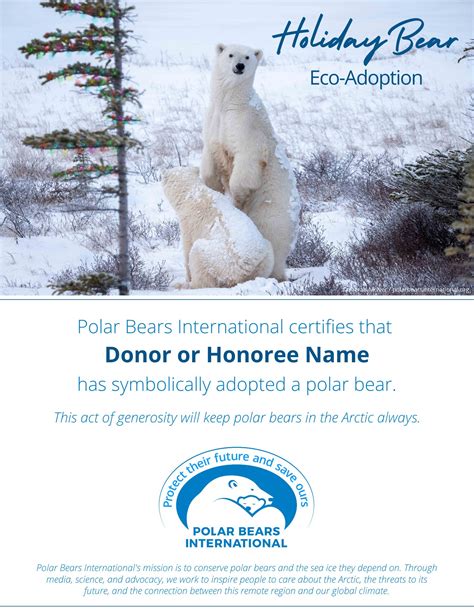 Holiday Bear Eco-Adoption - PBI Shop