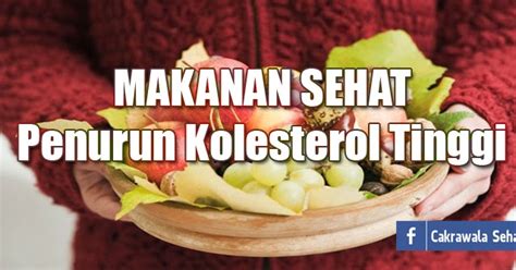 Inilah Makanan Penurun Kolesterol Tinggi Info Kesehatan