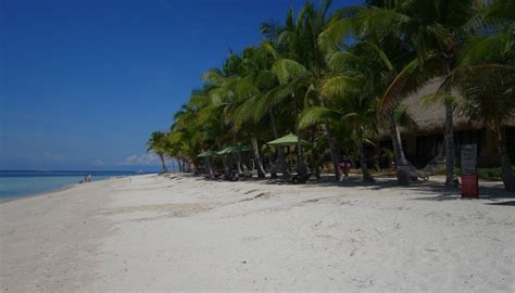 5 Best beaches in Panglao island, Philippines - Ultimate guide (January ...