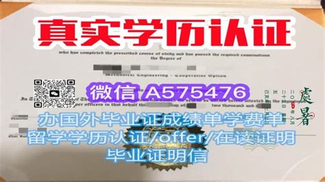 一比一原版英属哥伦比亚大学毕业证（ubc毕业证）如何办理 Ppt