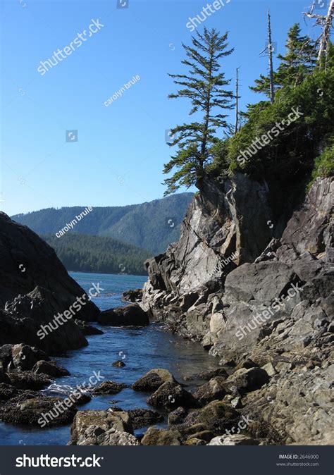 Coastal Inlet Stock Photo 2646900 : Shutterstock