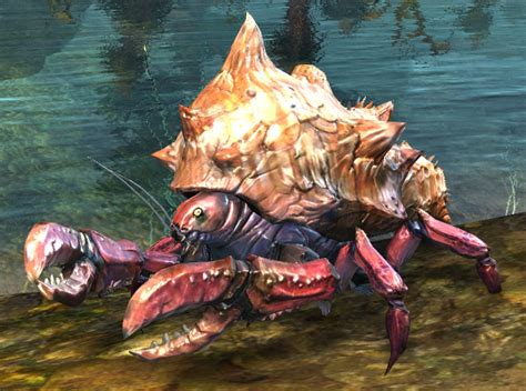 Crab - Guild Wars 2 Wiki (GW2W)