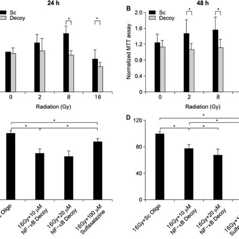 Cell survival assay 10 µM NF κB decoy transfection resulted in a