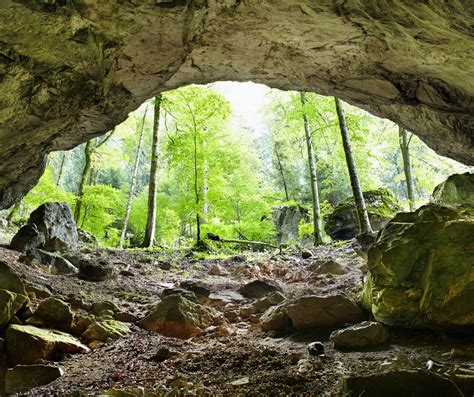 Ultimate Guide to Wyandotte Cave, Indiana (Tours, Pricing, History, Map) - World of Caves