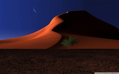 Desert Night Wallpapers - Top Free Desert Night Backgrounds ...