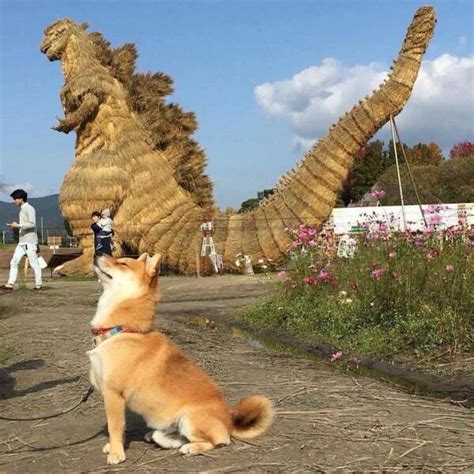 Hachiko vs. Godzilla : r/GODZILLA