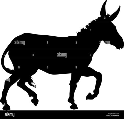 Side Donkey Profile Stock Vector Images Alamy