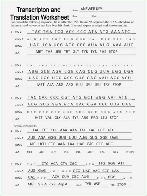 Types Of Mutations Answer Key Worksheet