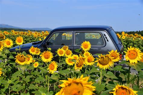 Sonnenschein Und 34 Grad So Wird Das Wetter Am Sonntag Im Burgenland