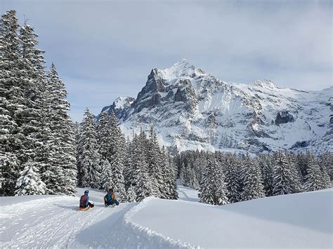 Detail - Book ski course online - Skischool Grindelwald