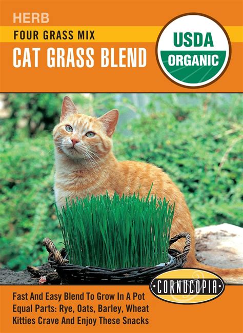 Organic Cat Grass Blend Cornucopia Seeds Wildwood Outdoor Living