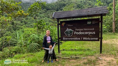 Parque Nacional Podocarpus Zamora Guía para visitarlo