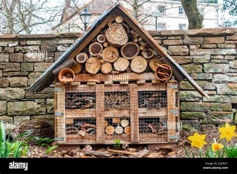 Ein Bienen Oder Insektenhotel Das An Einen Pfosten In Einem Garten