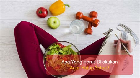 Apa Yang Harus Dilakukan Agar Hidup Sehat We Blog