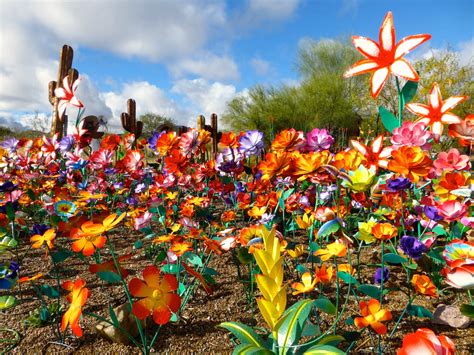 Best things to do in metro Phoenix this spring | Scenic road trip ...