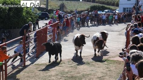 El Ayuntamiento de Pereña aprueba los festejos taurinos de las fiestas