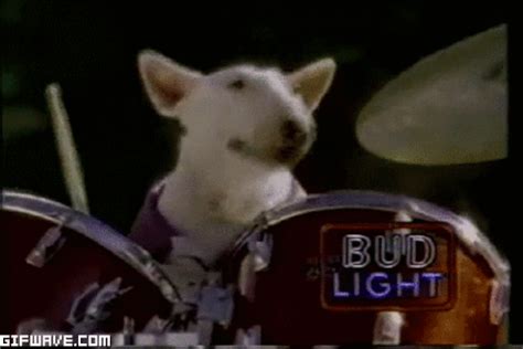 Drum Dog GIF - Drum Dog Bud - Discover & Share GIFs