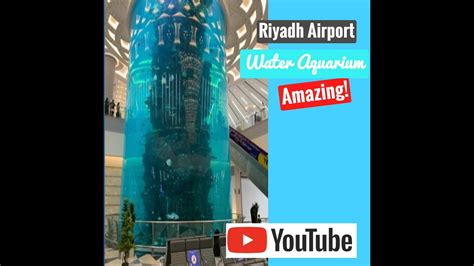 Jeddah Vlog Worlds Largest Airport Aquarium Jeddah Airport