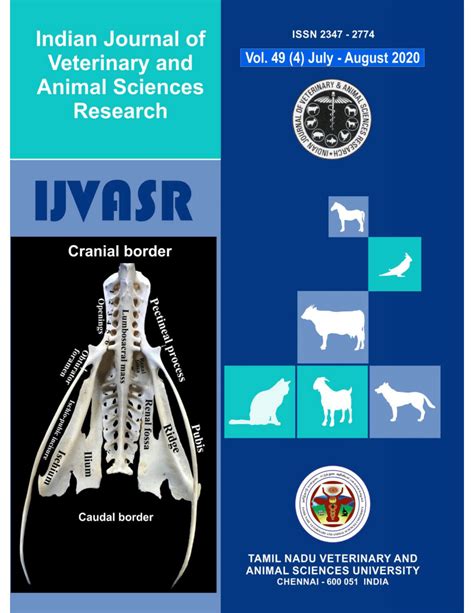 Pdf Gross Morphometric Measurements Of Udder In Tellicherry Goats