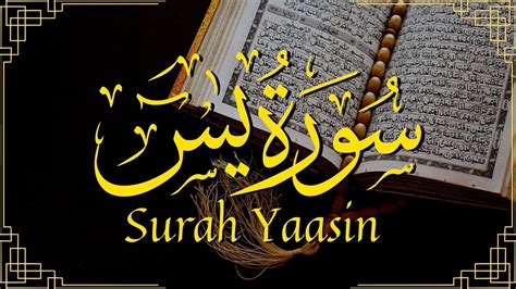 Surah Yasin Full Livestreaming Surah Yasin Merdu Pengampun Dosa Para