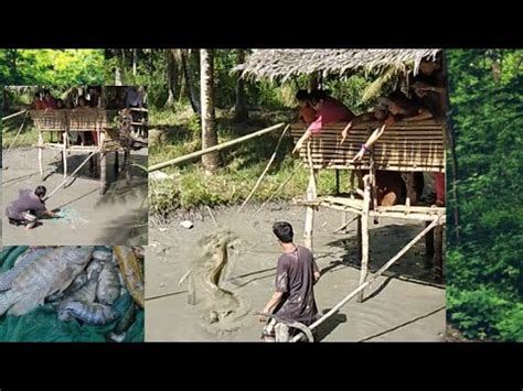 Nahuli Narin Ang Palos Eel Or Kasili Sa Fish Pond Namin Buhay