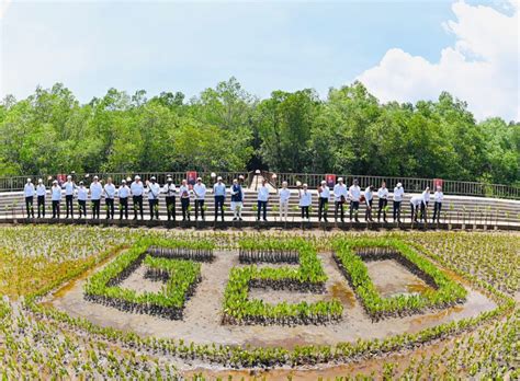 Presiden Jokowi Dan Para Pemimpin Negara G Tanam Pohon Mangrove Di Tahura