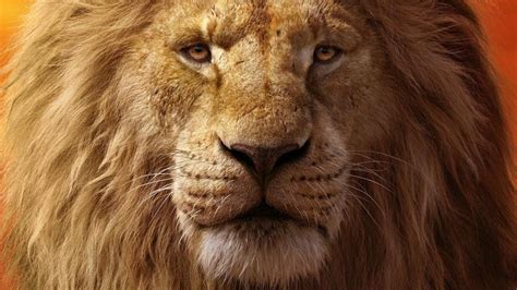 Mufasa The Lion King Release Date Cast Trailer Everything We Know