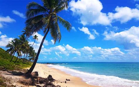 Praia De Coqueirinho PB Dicas Como Chegar E Quando Ir