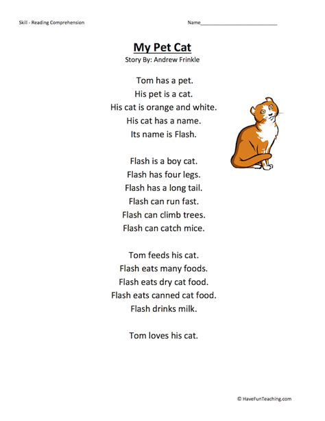 My Pet Cat Reading Comprehension Worksheet Have Fun Teaching