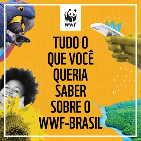 Tudo O Que Você Quer Saber Sobre O Wwf Brasil Wwf Brasil