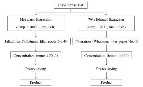 Process Of Stevia Leaf Extraction Using Hot Water And 70 Ethanol