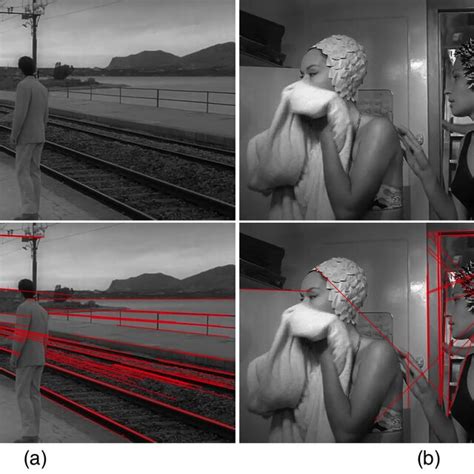 Examples Of Perspective Lines Extracted By The Hough Transform A From