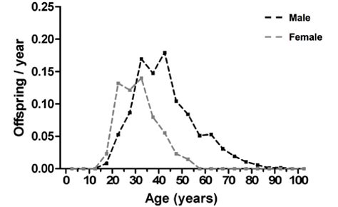 Figure 1 From Evolution Of Sexually Dimorphic Longevity In Humans