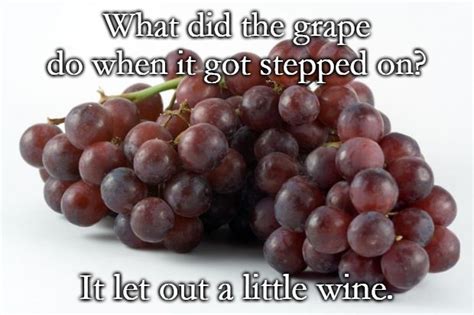 grapes Memes - Imgflip