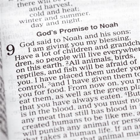 Noah in the Bible: Exploring the Life of the Faithful Ark-Builder