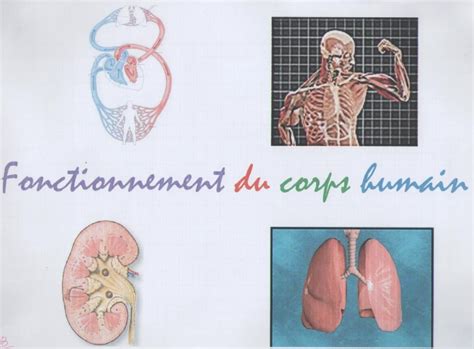 Les SVT en 5ème Vive les SVT Les sciences de la vie et de la Terre