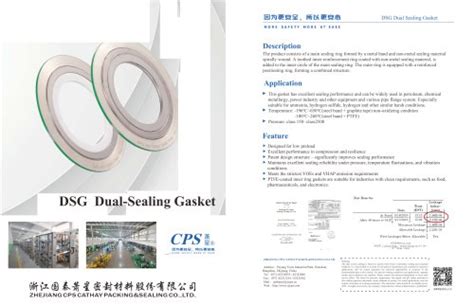 CPS6030 6040 6050 Modified PTFE Gasket Zhejiang CPS Cathay Packing