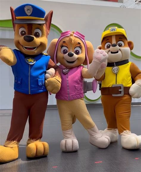 Paw Patrol Mascots Paw Patrol Paw Patrol Characters Mascot