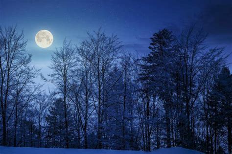 Tutti Pronti Stanotte Per La Splendida Luna Fredda Lultima Luna Piena