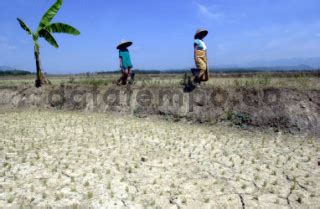 Kekeringan Di Bekasi Datatempo