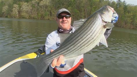 Fox Sports Outdoors Southwest Lake Martin Alabama Striper Fishing