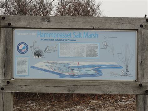 2021年 Hammonasset Beach State Park 行く前に！見どころをチェック トリップアドバイザー