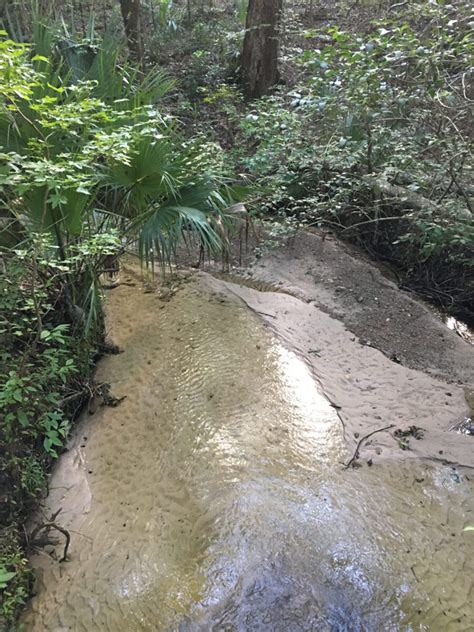 Cw Ridgeview Creek Gainesville Creeks