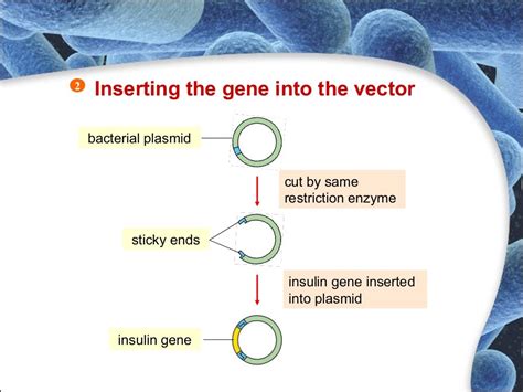 Molecular genetics 2014