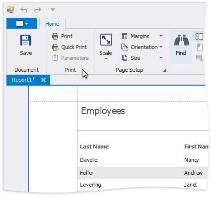 Vorschau Drucken Und Exportieren Von Berichten Devexpress End User