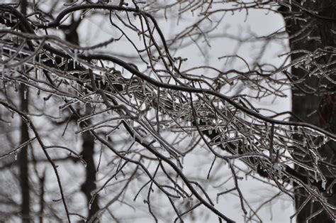 ice storm snowstorm images pixabay