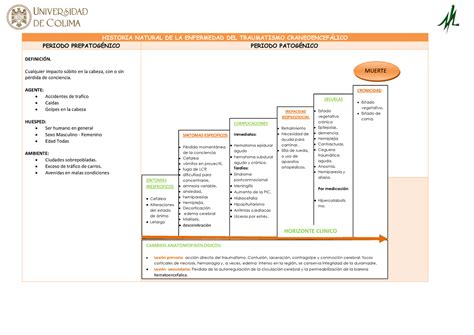Historia Natural Dela Enfermedad Traumatismo Craneoencefalico Porn